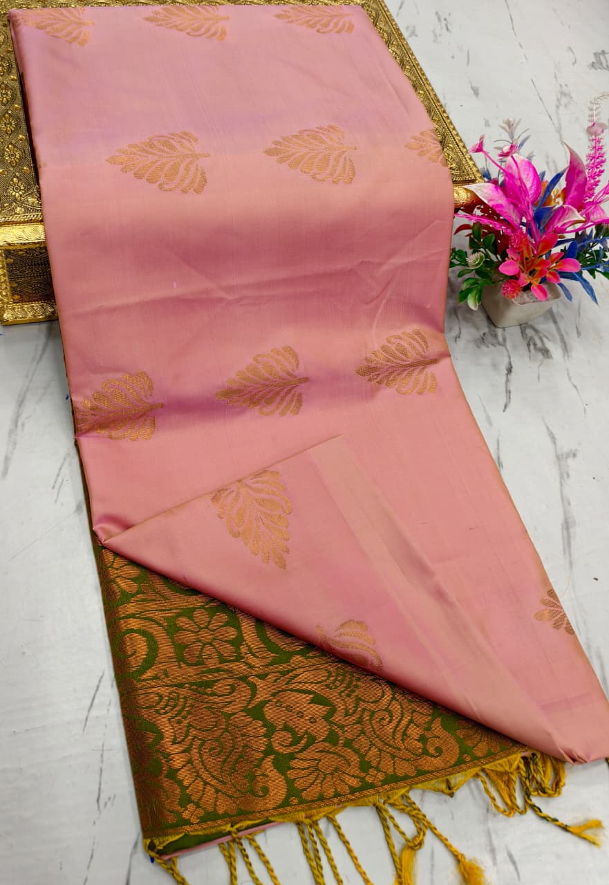 Salem Elampilai Soft Silk Saree