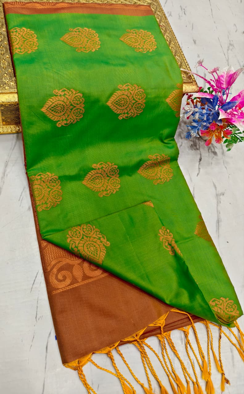 Salem Elampilai Soft Silk Saree
