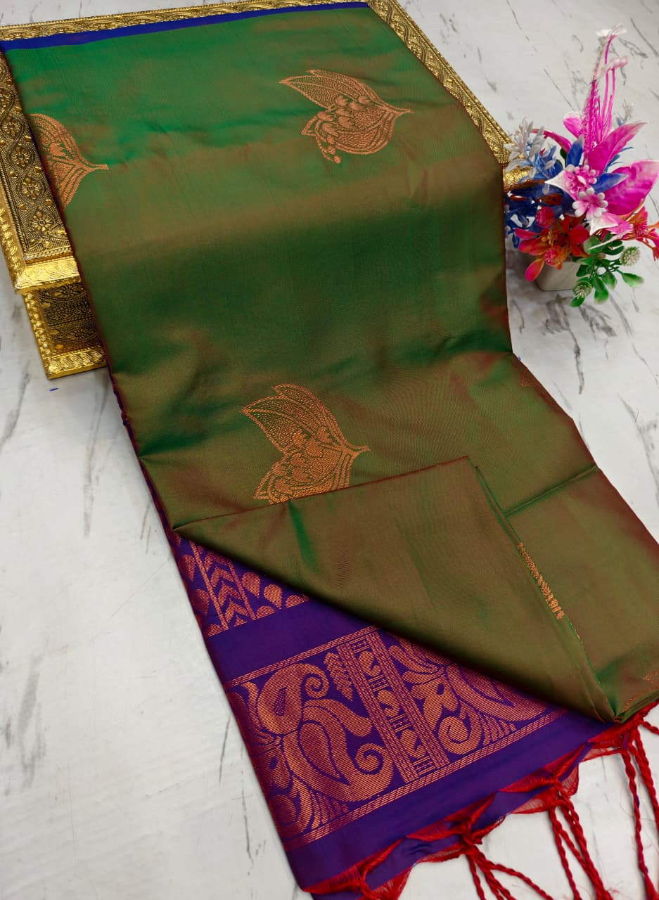 Salem Elampilai Soft Silk Saree