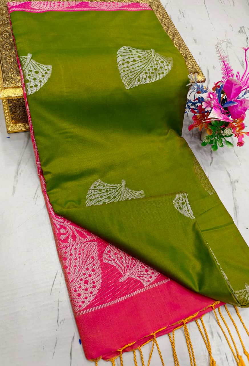 Salem Elampilai Soft Silk Saree