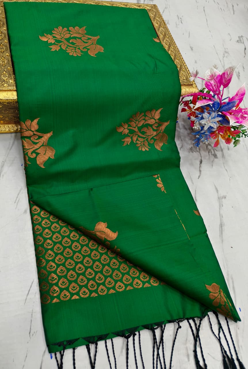 Salem Elampilai Soft Silk Saree